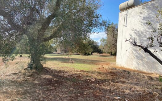 LA CASA DEI TRE ARCHI