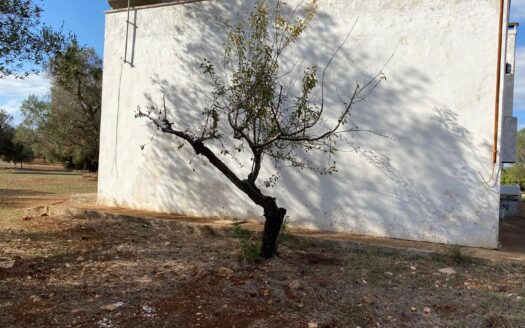 LA CASA DEI TRE ARCHI