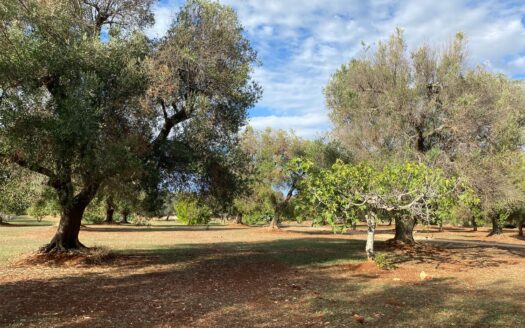 LA CASA DEI TRE ARCHI