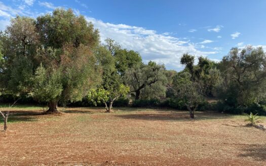 LA CASA DEI TRE ARCHI