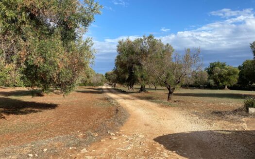 LA CASA DEI TRE ARCHI