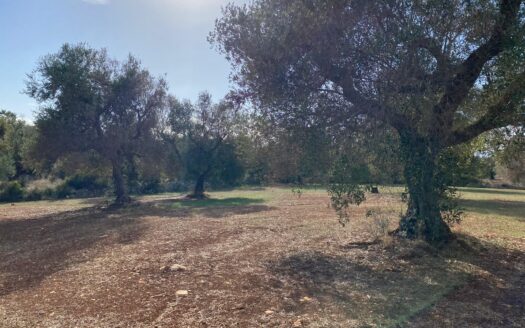 LA CASA DEI TRE ARCHI