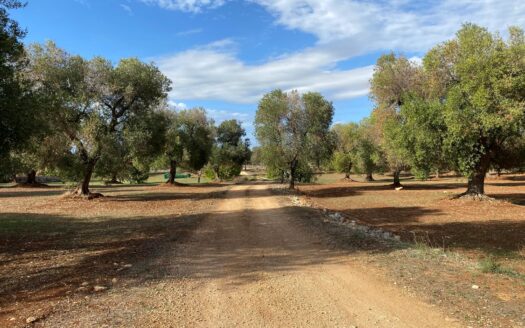 LA CASA DEI TRE ARCHI
