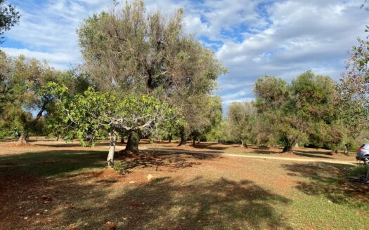 LA CASA DEI TRE ARCHI