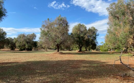 LA CASA DEI TRE ARCHI