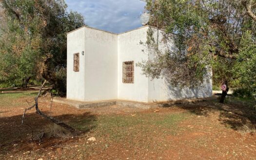 LA CASA DEI TRE ARCHI