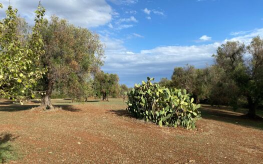 LA CASA DEI TRE ARCHI