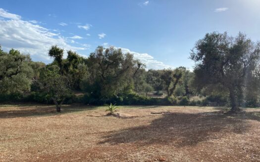 LA CASA DEI TRE ARCHI