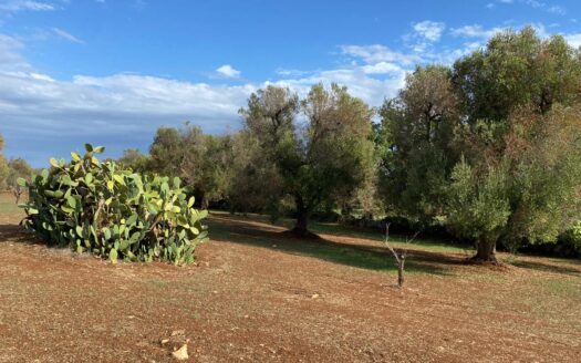LA CASA DEI TRE ARCHI