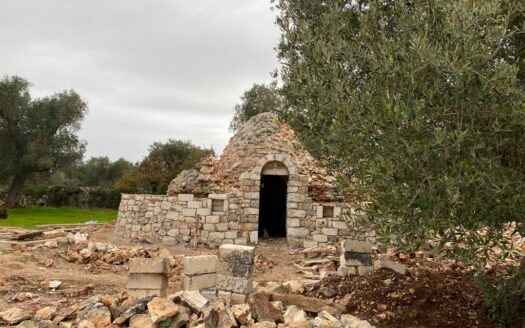 TRULLO SILVER